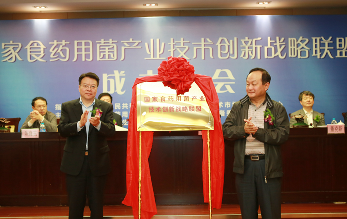 專(zhuān)題報(bào)道