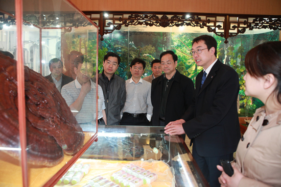 專(zhuān)題報(bào)道