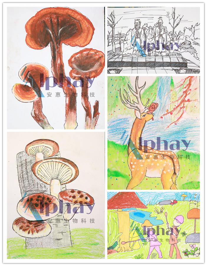 圖片關(guān)鍵詞 圖片關(guān)鍵詞