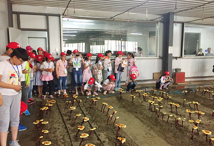 圖片關(guān)鍵詞 圖片關(guān)鍵詞