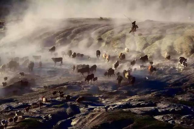 國家蘑菇地理：中國哪里的蘑菇最好吃？