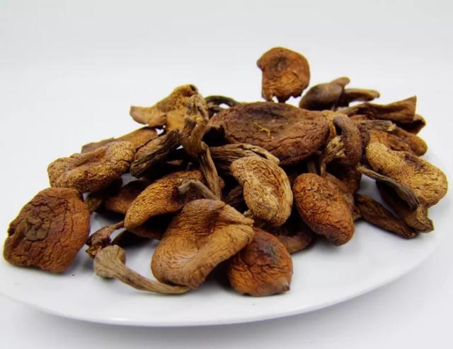 國家蘑菇地理：中國哪里的蘑菇最好吃？