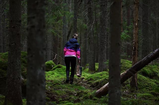 國家蘑菇地理：中國哪里的蘑菇最好吃？