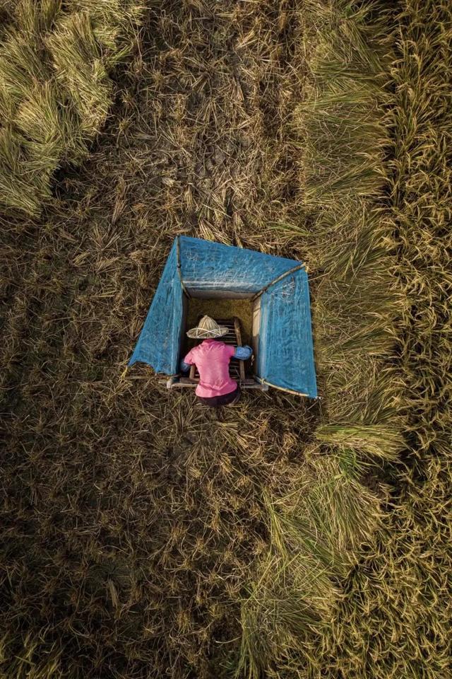 國家蘑菇地理：中國哪里的蘑菇最好吃？