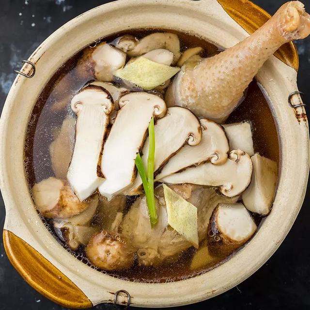 國家蘑菇地理：中國哪里的蘑菇最好吃？