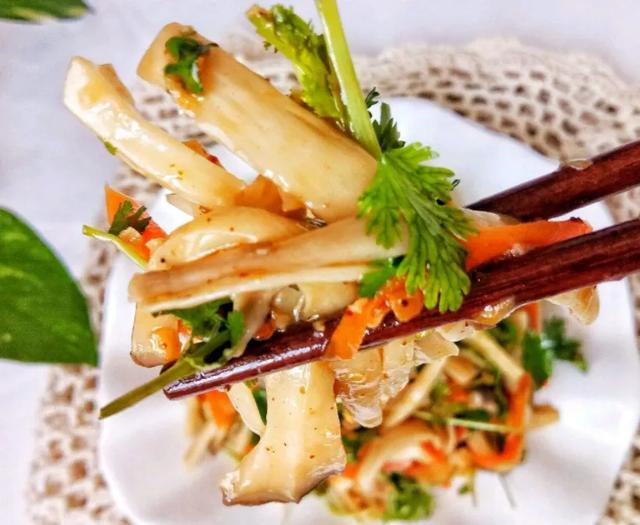 國家蘑菇地理：中國哪里的蘑菇最好吃？