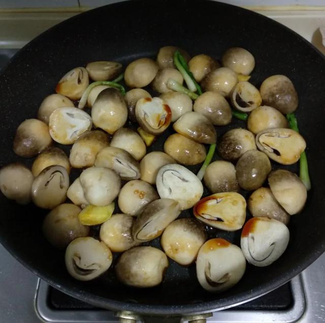 國家蘑菇地理：中國哪里的蘑菇最好吃？