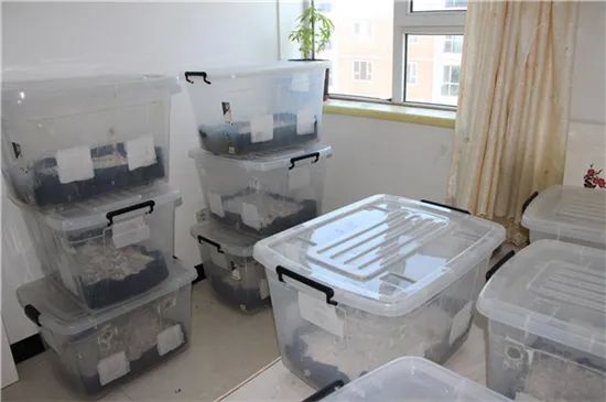 圖片關(guān)鍵詞 https://mmbiz.qpic.cn/mmbiz_jpg/OnRbAd1HL47qC0uibwrNsuw7LGnZfZLuyFsNiaNp7IgDRibHsY8nvpQyHRxxAnDntoicEAgMAWWQqibS1BBVXNnklXA/640?wx_fmt=jpeg