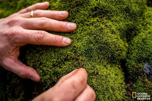 圖片關(guān)鍵詞 圖片關(guān)鍵詞