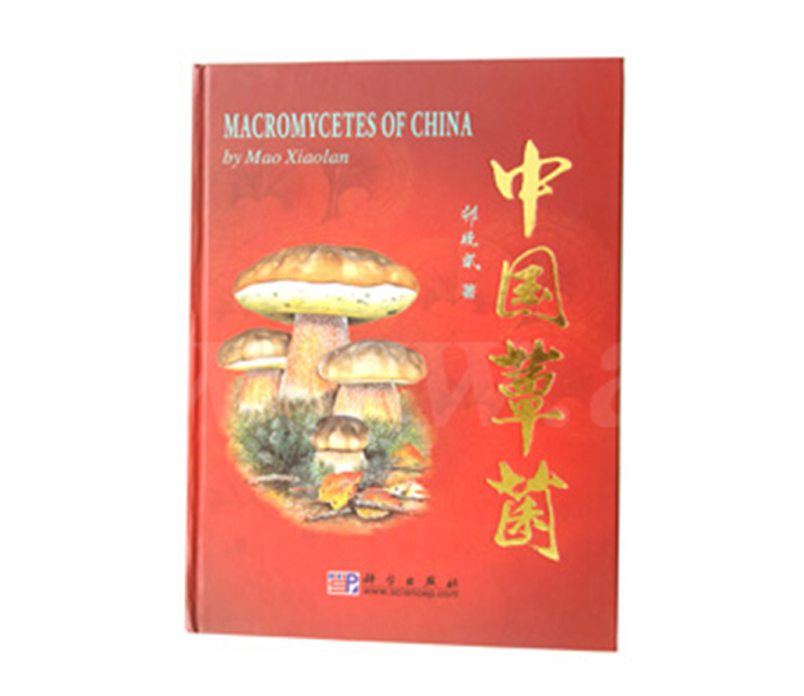 《中國(guó)蕈菌》