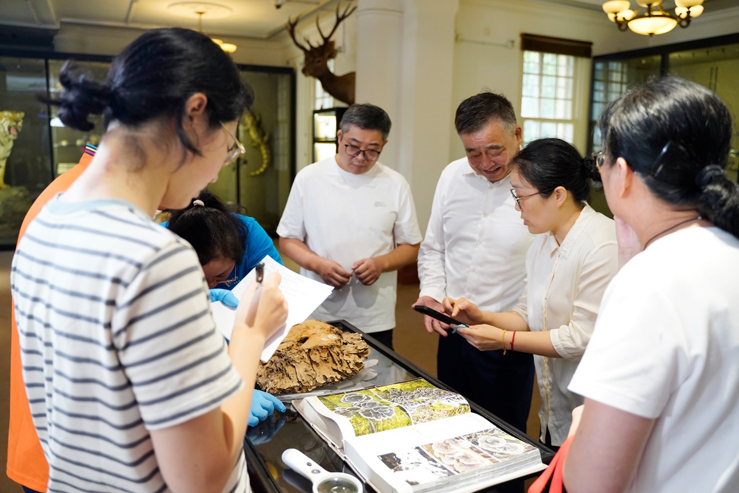 圖片關(guān)鍵詞