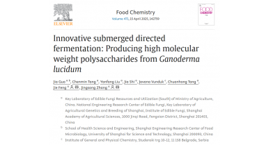 行業(yè)動態(tài)
