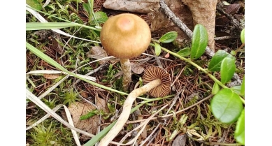 行業(yè)動態(tài)