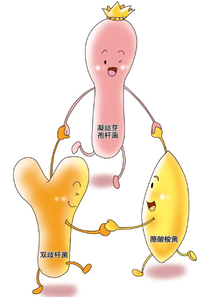如何給寶寶選擇益生菌？