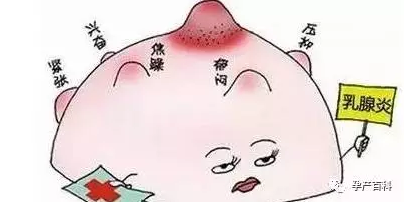 哺乳期乳腺炎，慎用抗生素！