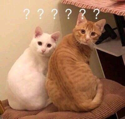 “引導”你會嗎？