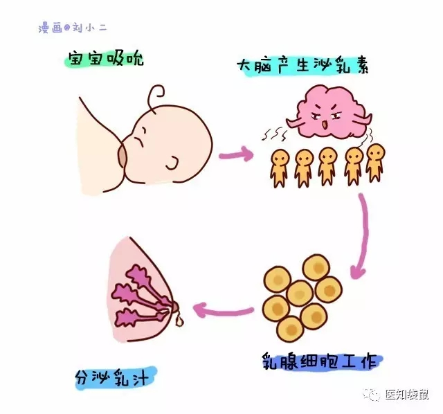寶寶一哭就喂奶？
