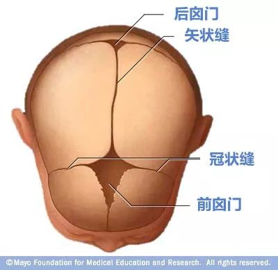寶寶的囟門很重要，出現(xiàn)這3種異常要當(dāng)心！