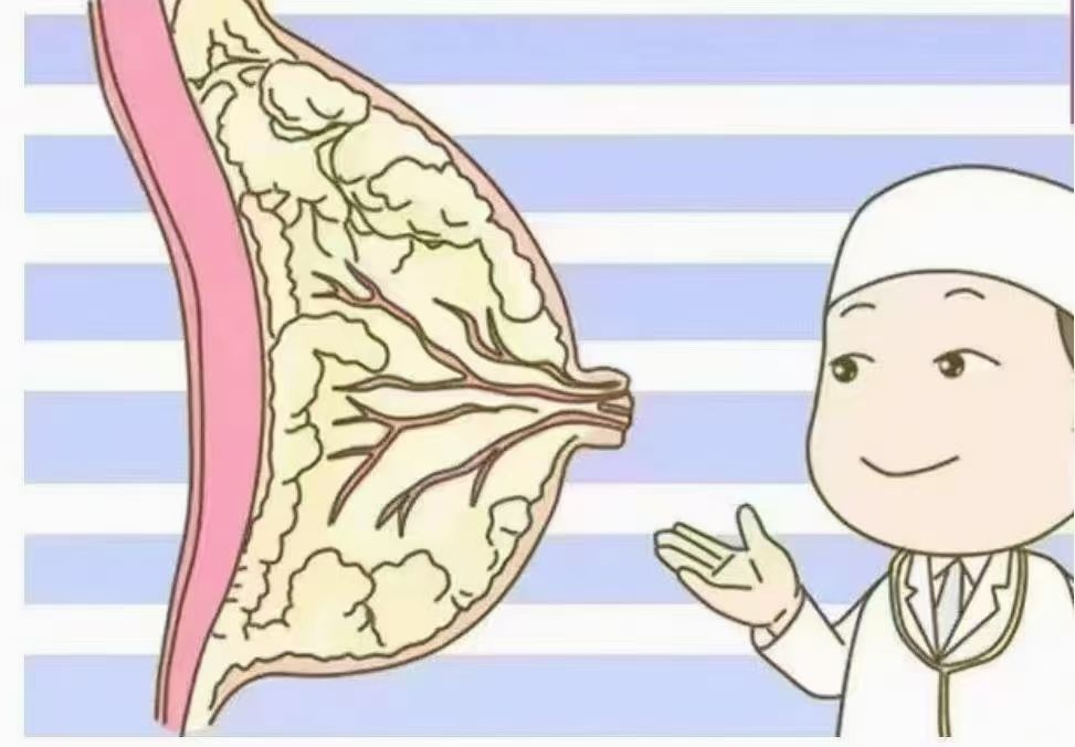 6步疏通奶結(jié)，告別乳房脹痛，月嫂必學(xué)！