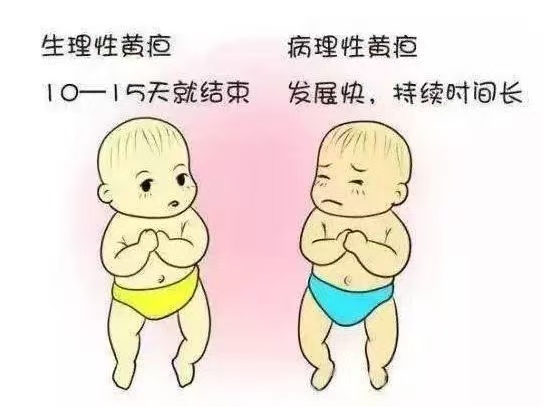 新生兒常見10種生理現(xiàn)象與7大護理要點！月嫂上崗前必讀！